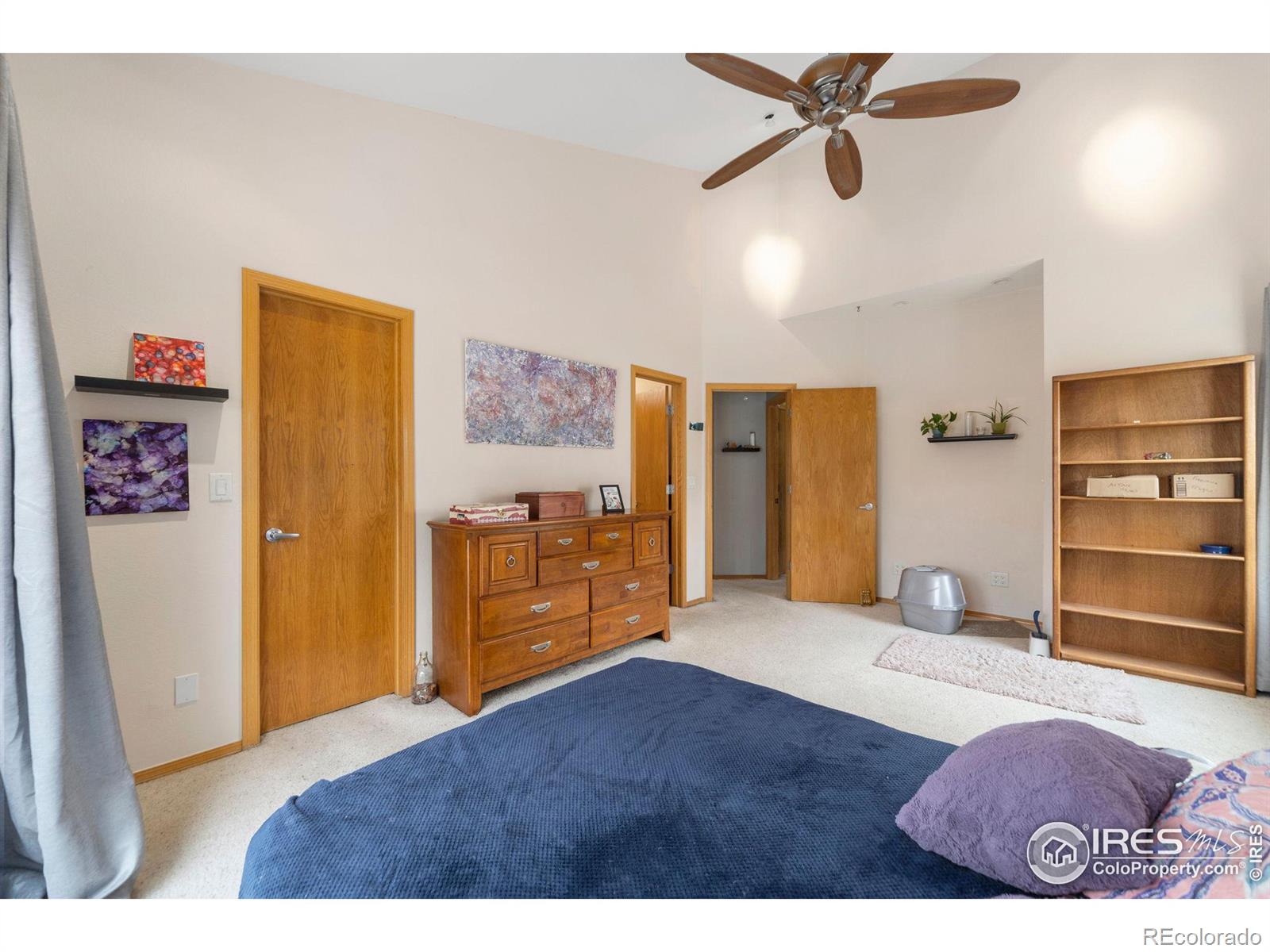MLS Image #7 for 7021  egyptian drive,fort collins, Colorado