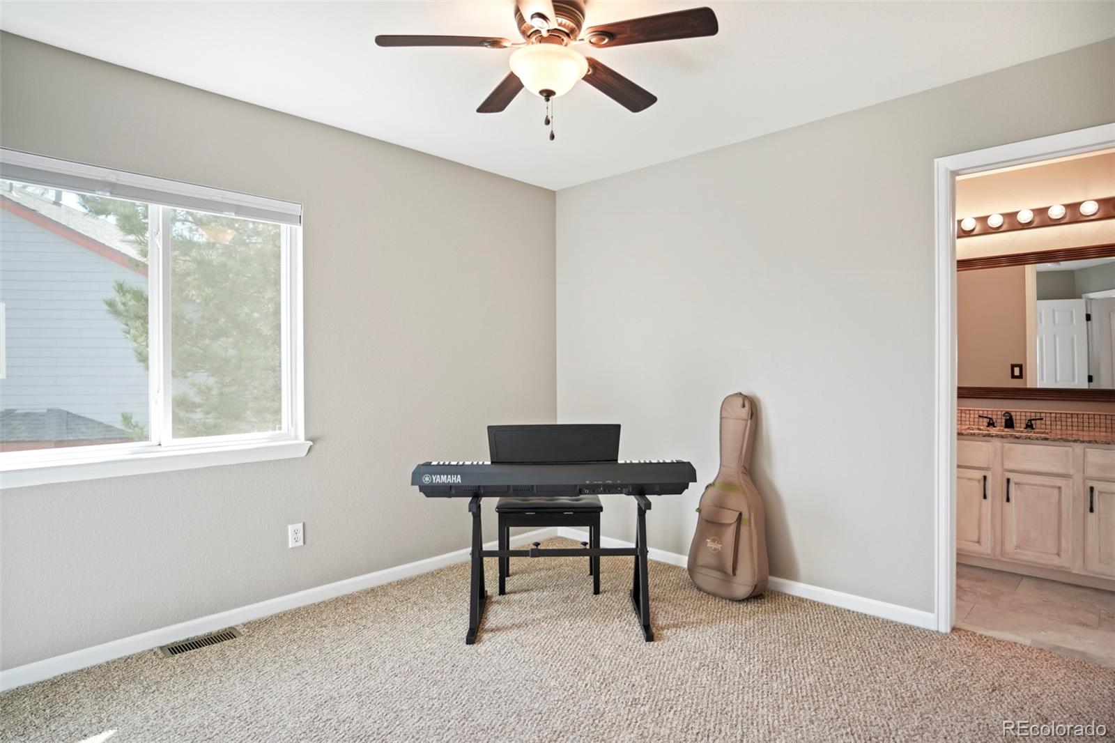 MLS Image #11 for 10222  gemstone court,parker, Colorado