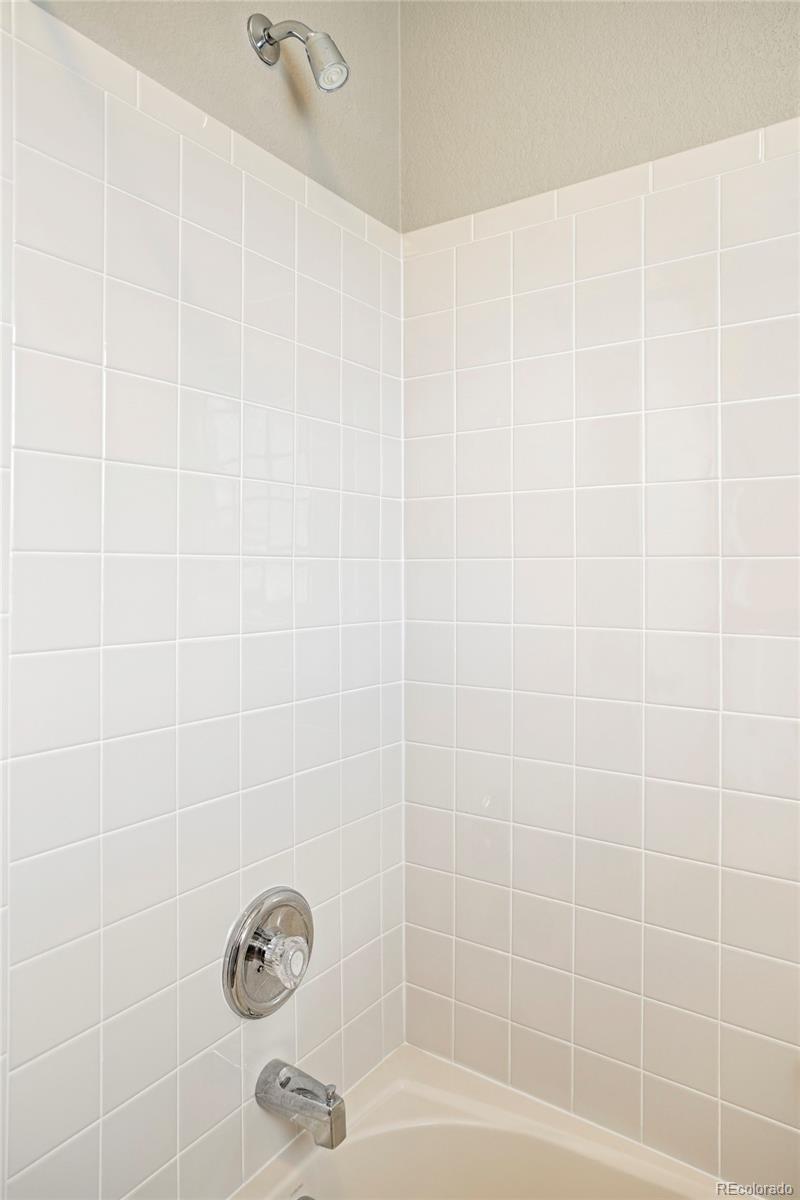 MLS Image #13 for 10222  gemstone court,parker, Colorado