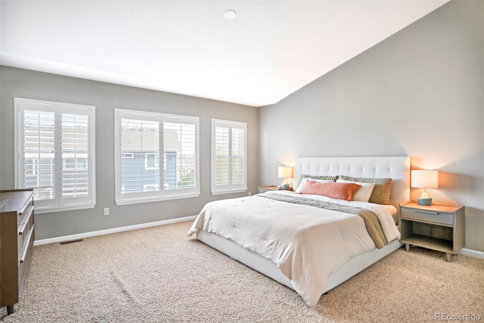 MLS Image #15 for 10222  gemstone court,parker, Colorado