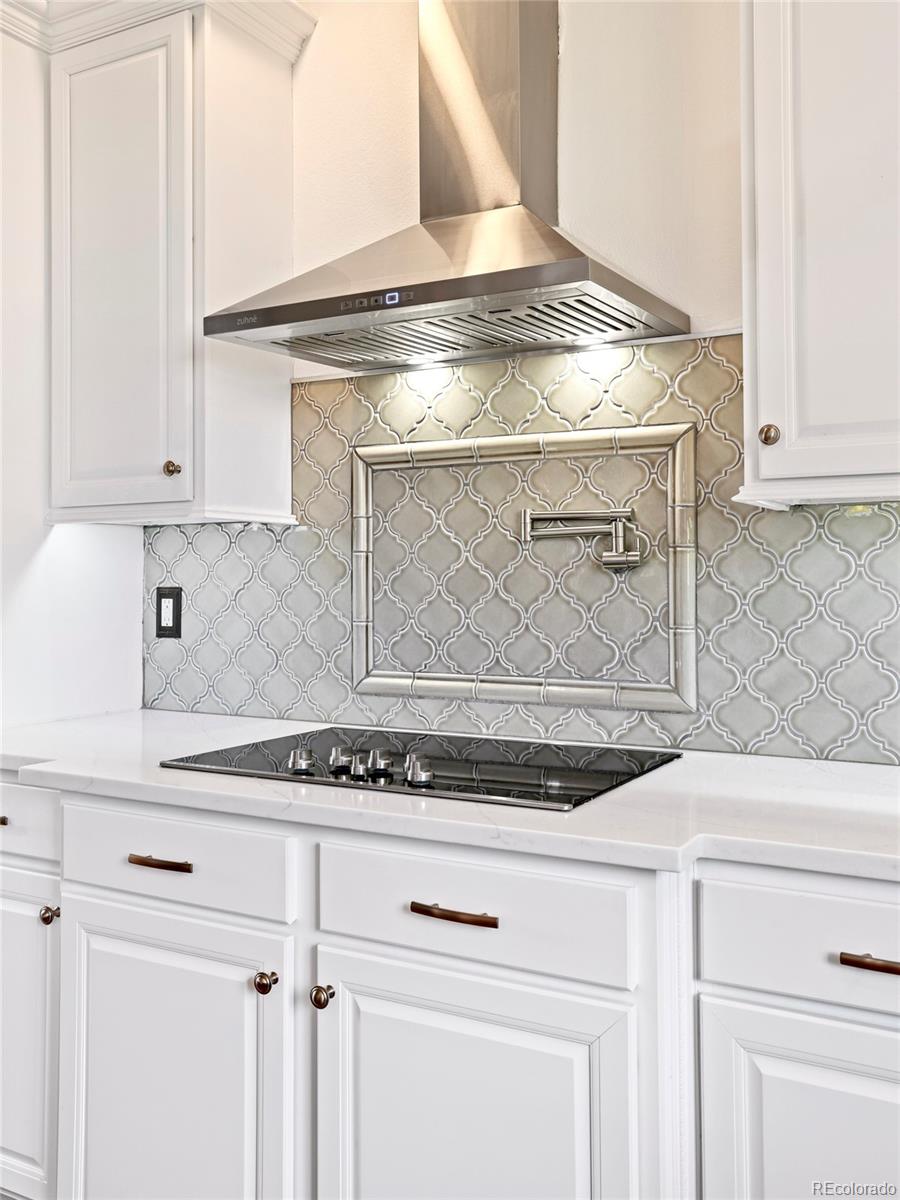 MLS Image #9 for 10222  gemstone court,parker, Colorado