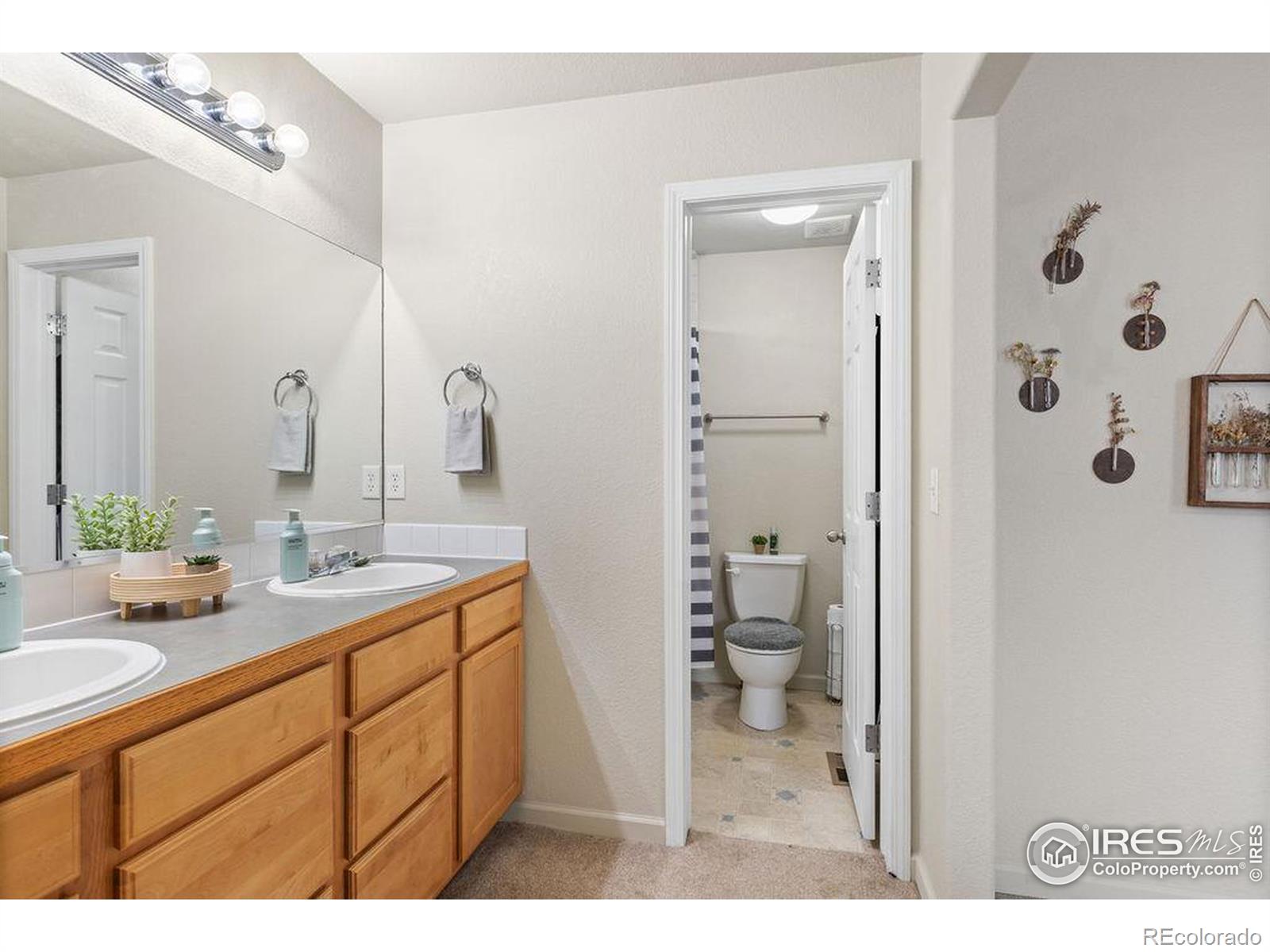 MLS Image #23 for 7036  raleigh street,wellington, Colorado