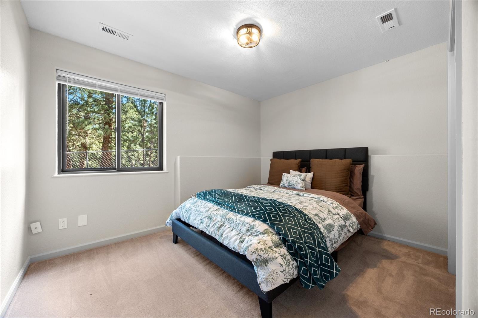 MLS Image #21 for 55  sleepy hollow drive,bailey, Colorado