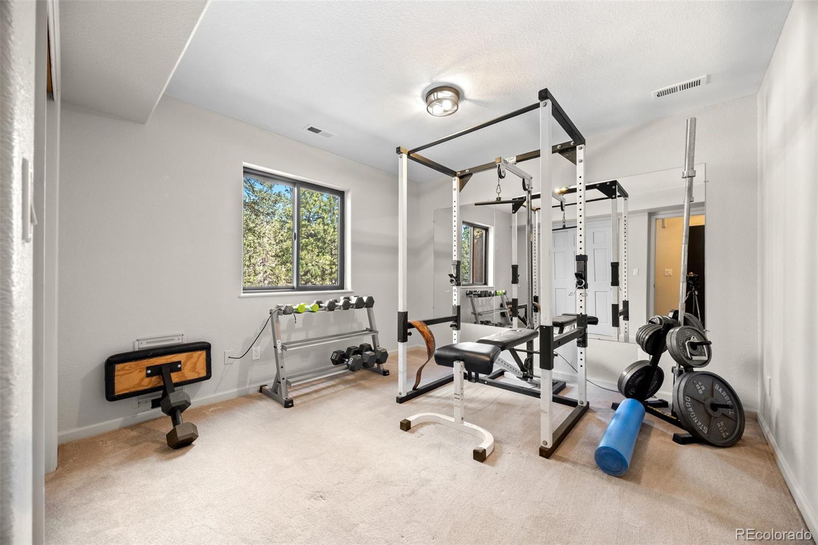 MLS Image #23 for 55  sleepy hollow drive,bailey, Colorado