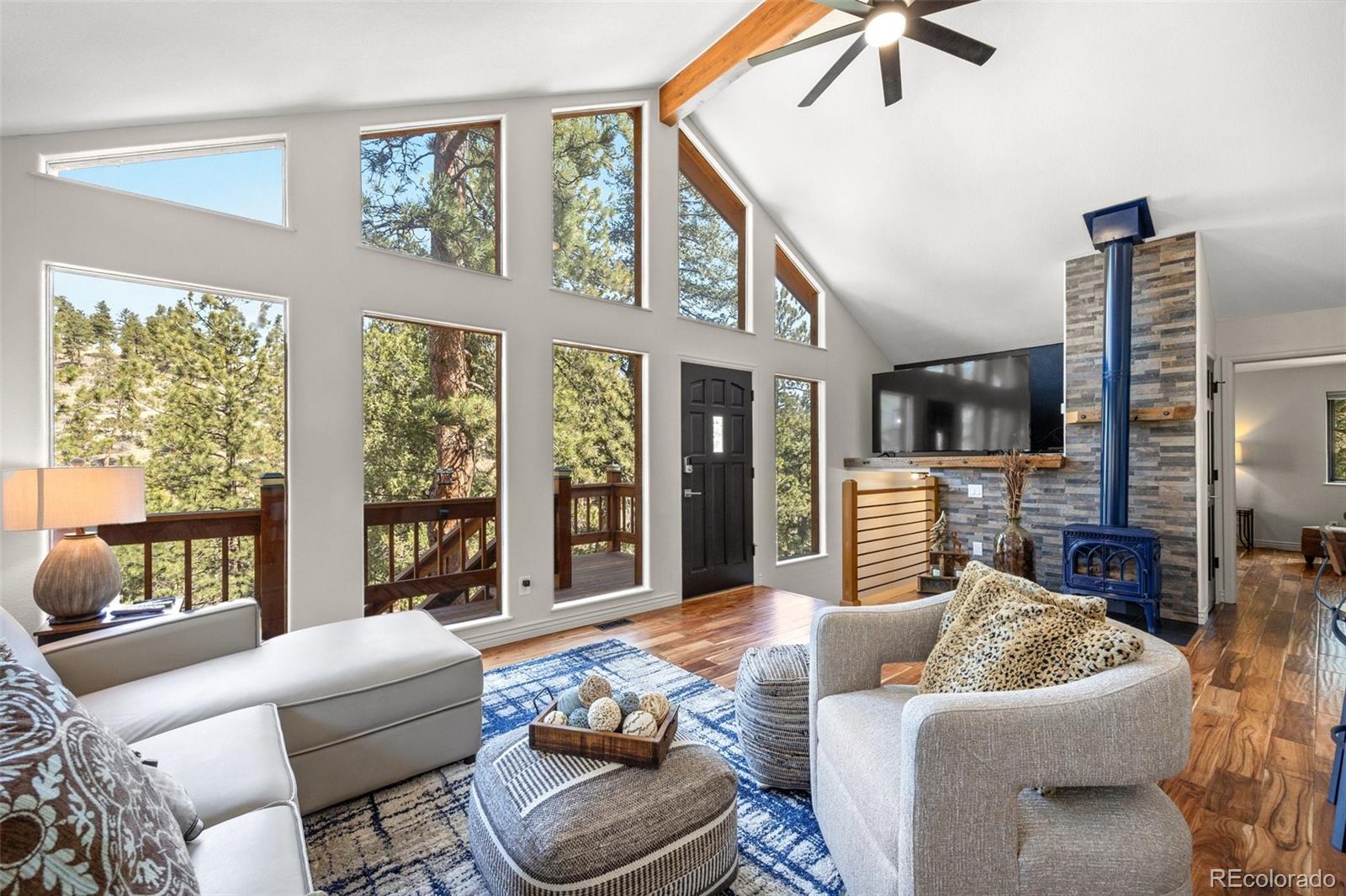 MLS Image #38 for 55  sleepy hollow drive,bailey, Colorado