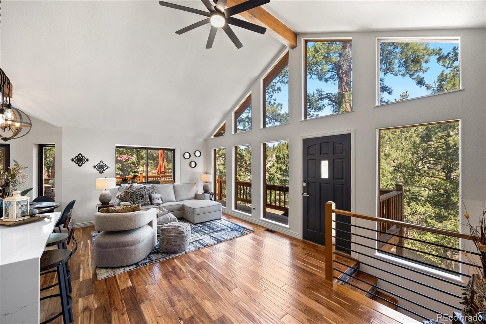 MLS Image #6 for 55  sleepy hollow drive,bailey, Colorado