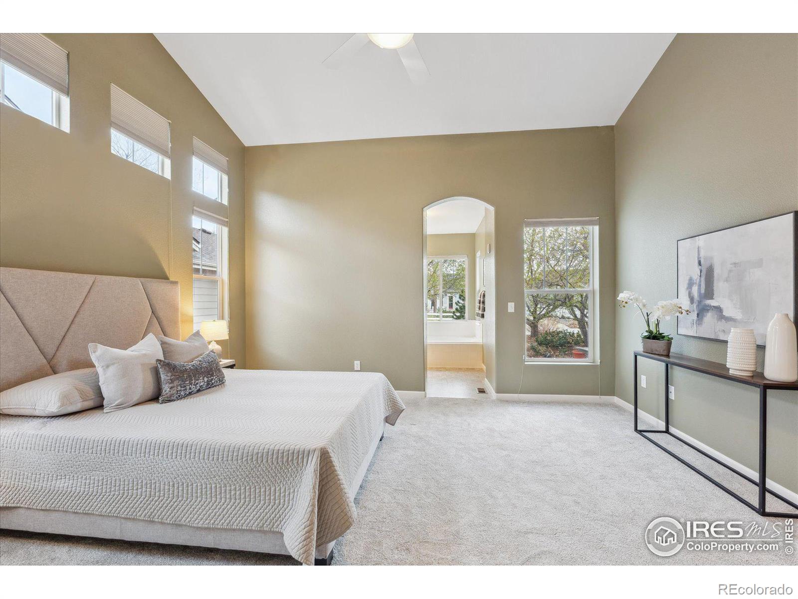 MLS Image #18 for 4319  bella vista drive,longmont, Colorado