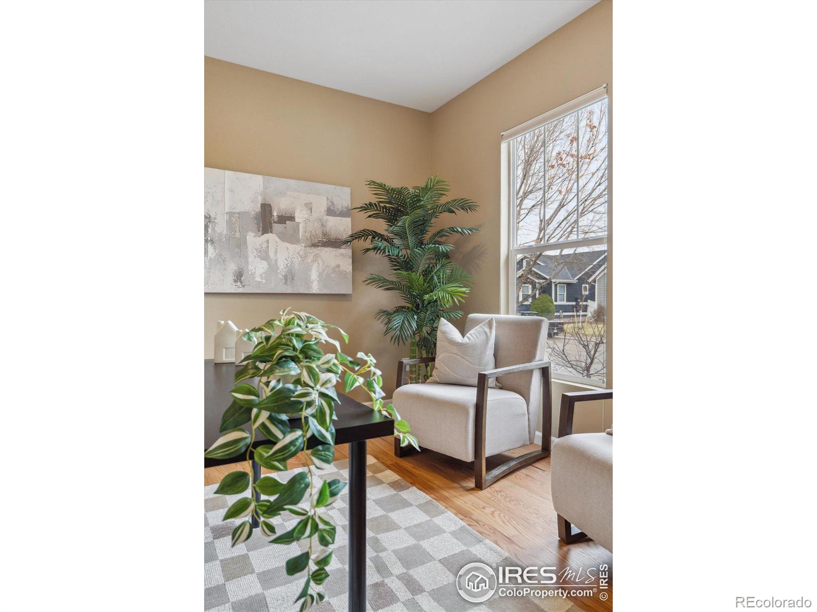 MLS Image #4 for 4319  bella vista drive,longmont, Colorado