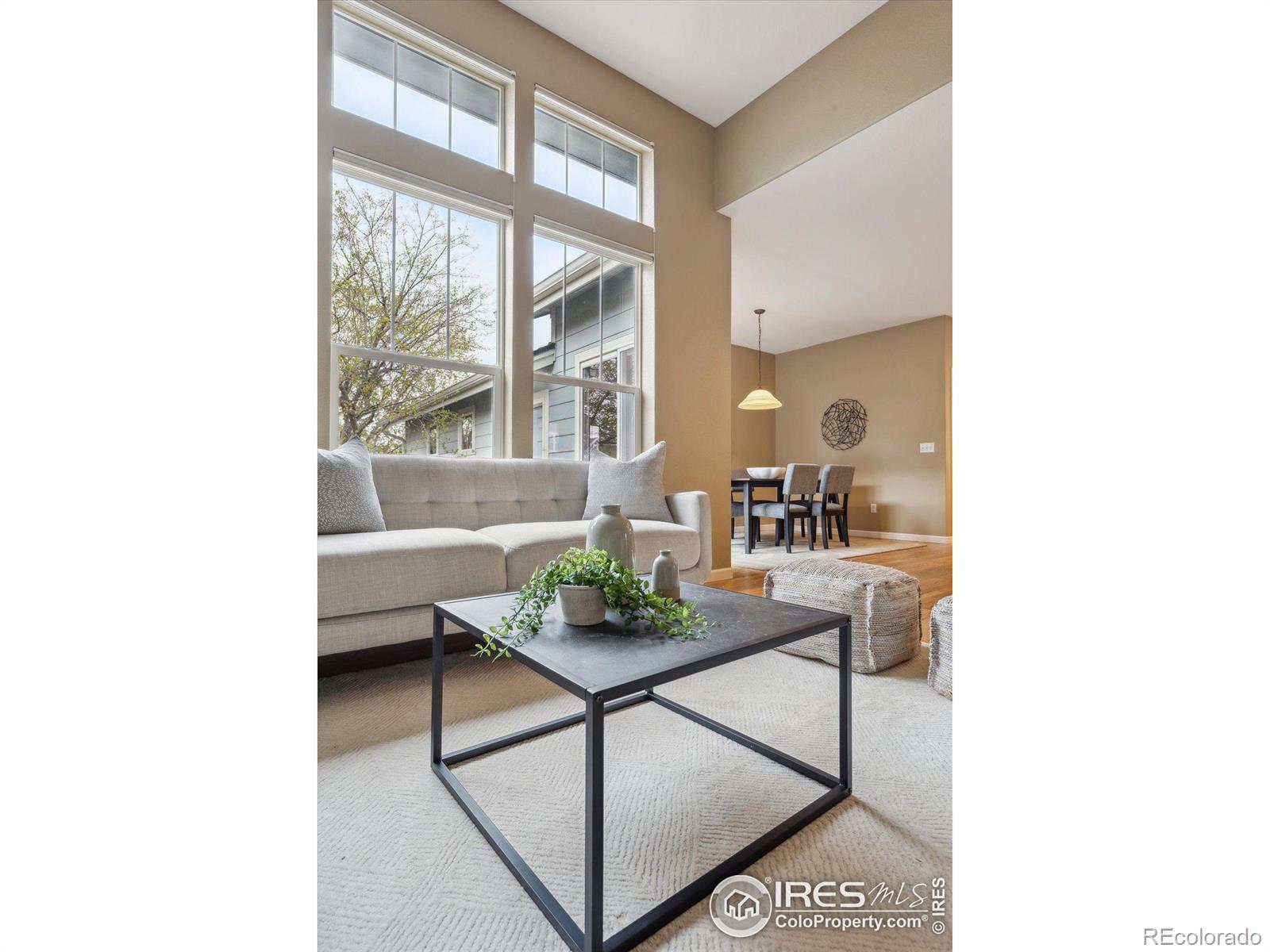 MLS Image #8 for 4319  bella vista drive,longmont, Colorado