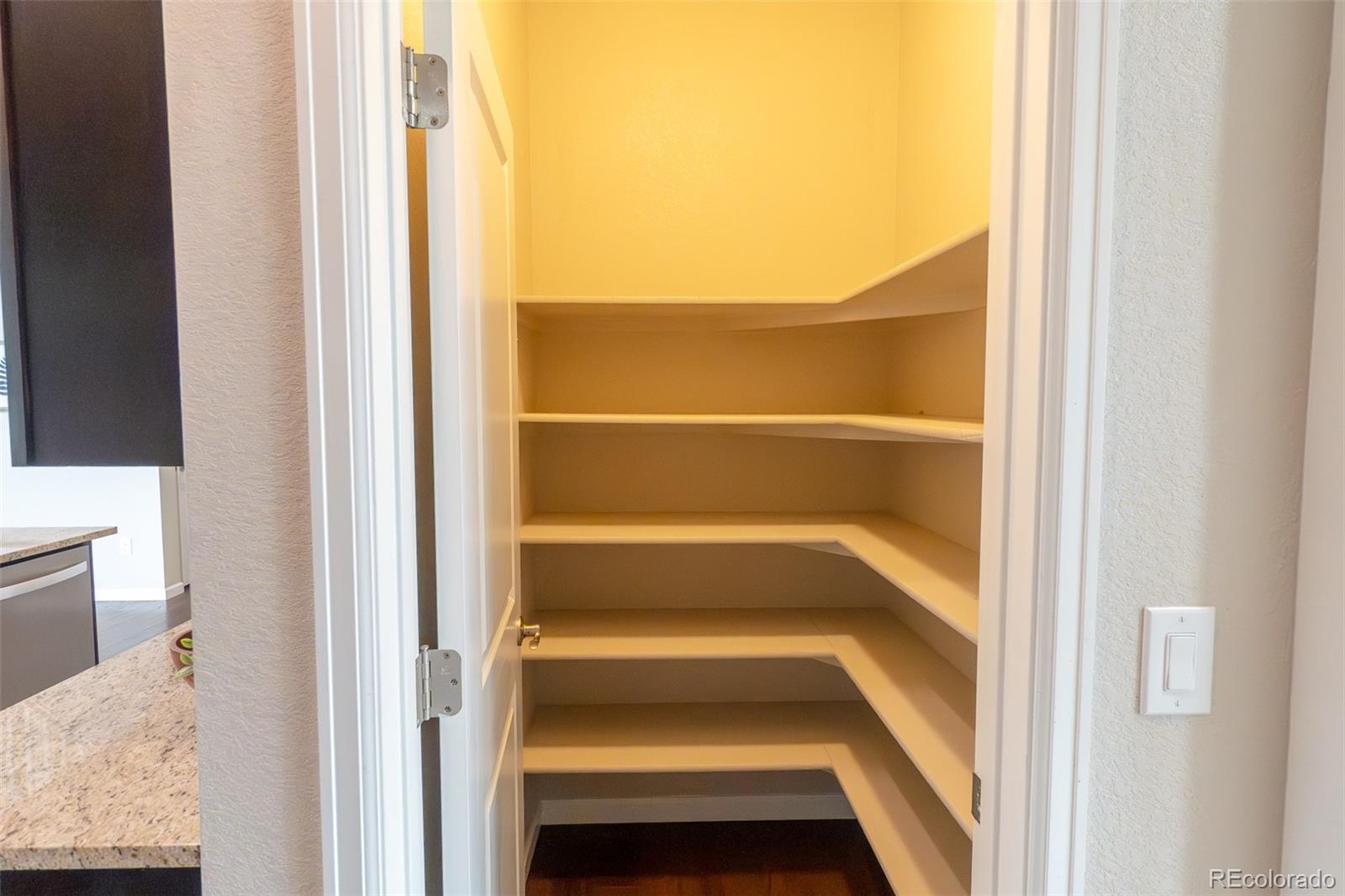 MLS Image #12 for 1267  basalt ridge loop,castle rock, Colorado