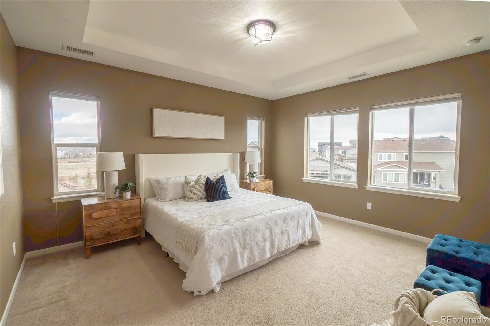 MLS Image #22 for 1267  basalt ridge loop,castle rock, Colorado