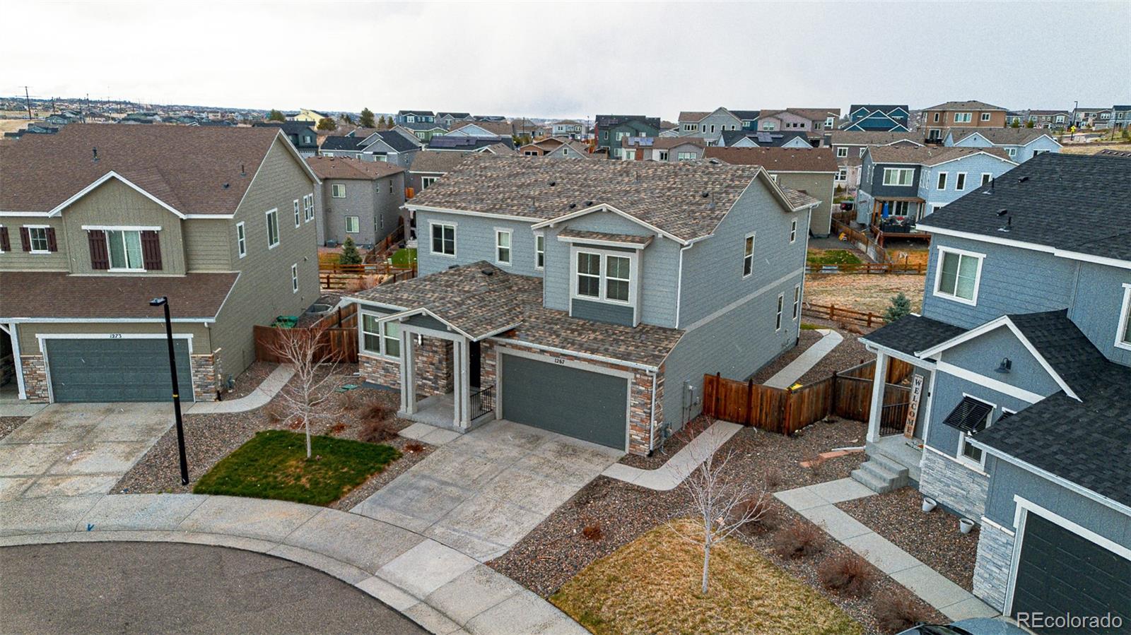 MLS Image #3 for 1267  basalt ridge loop,castle rock, Colorado