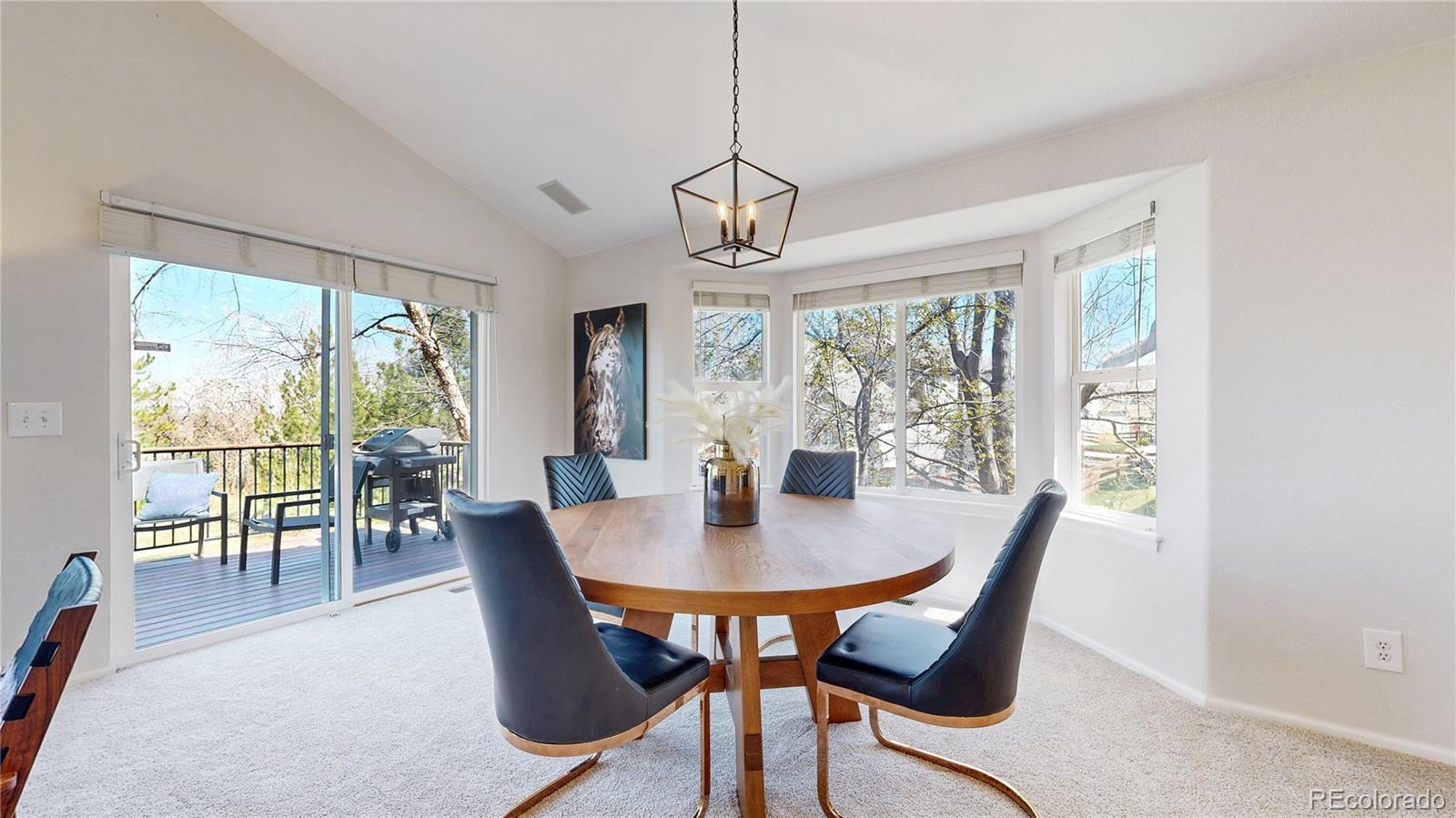 MLS Image #3 for 6226  quartz loop,arvada, Colorado