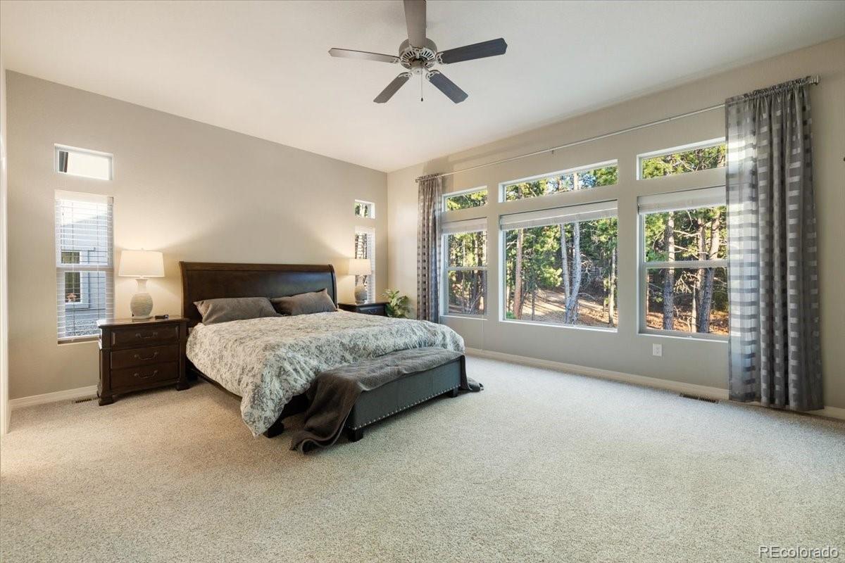 MLS Image #32 for 16113  enchanted peak way,monument, Colorado