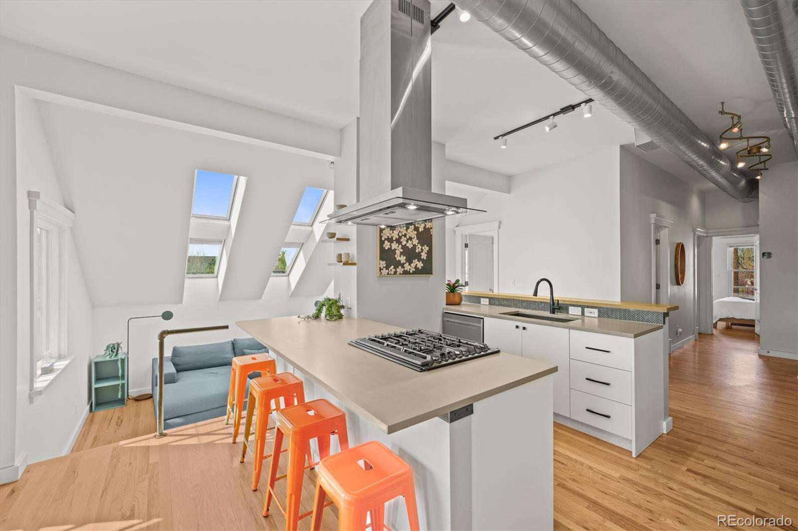 MLS Image #10 for 117  elati street,denver, Colorado