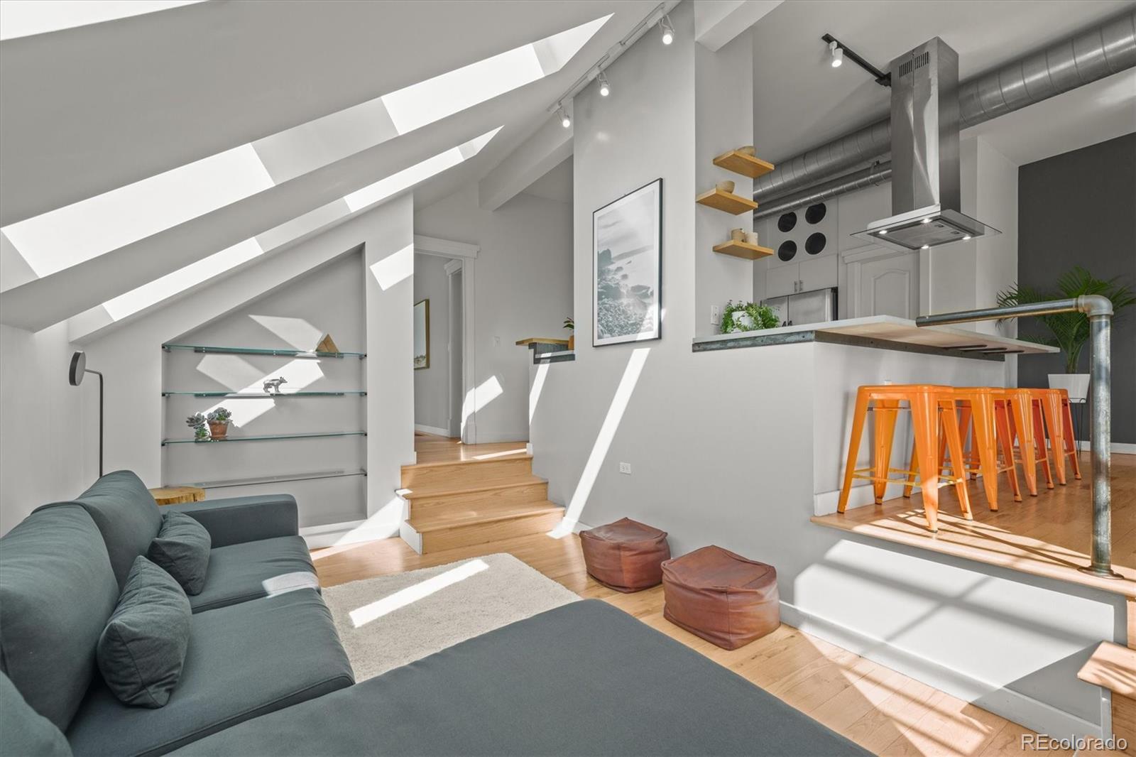 MLS Image #13 for 117  elati street,denver, Colorado