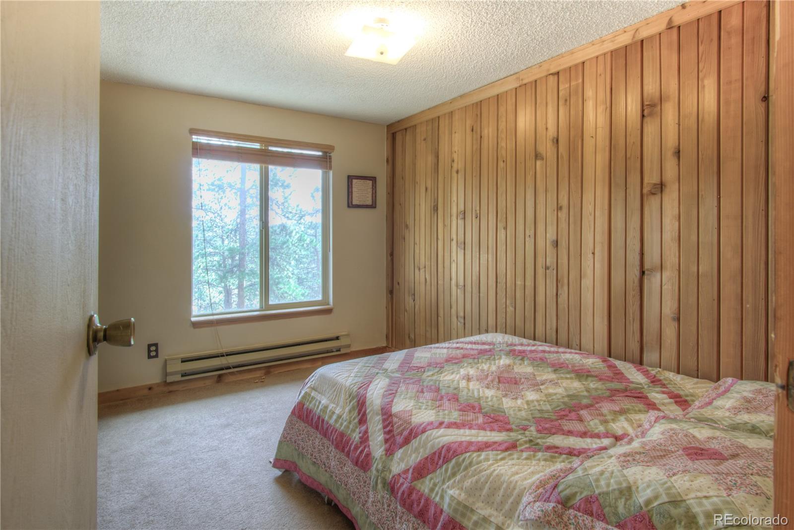 MLS Image #13 for 253  raven drive,bailey, Colorado
