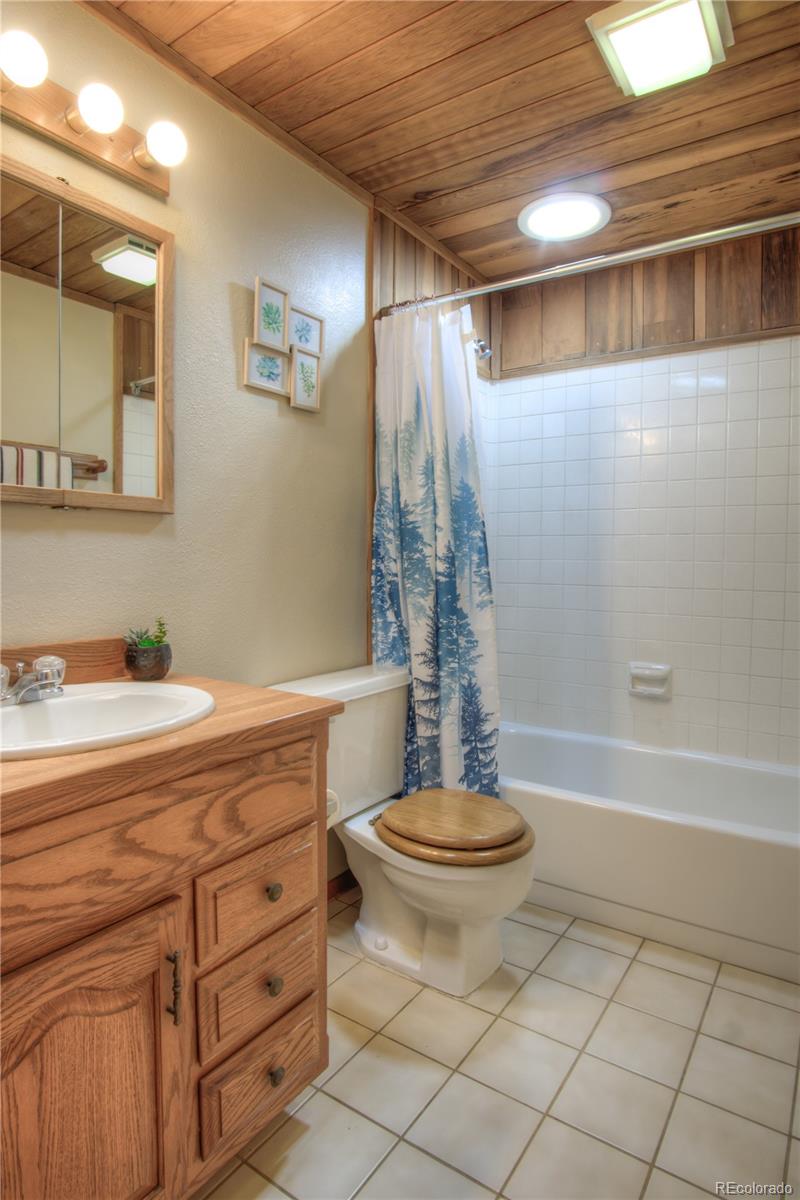 MLS Image #16 for 253  raven drive,bailey, Colorado