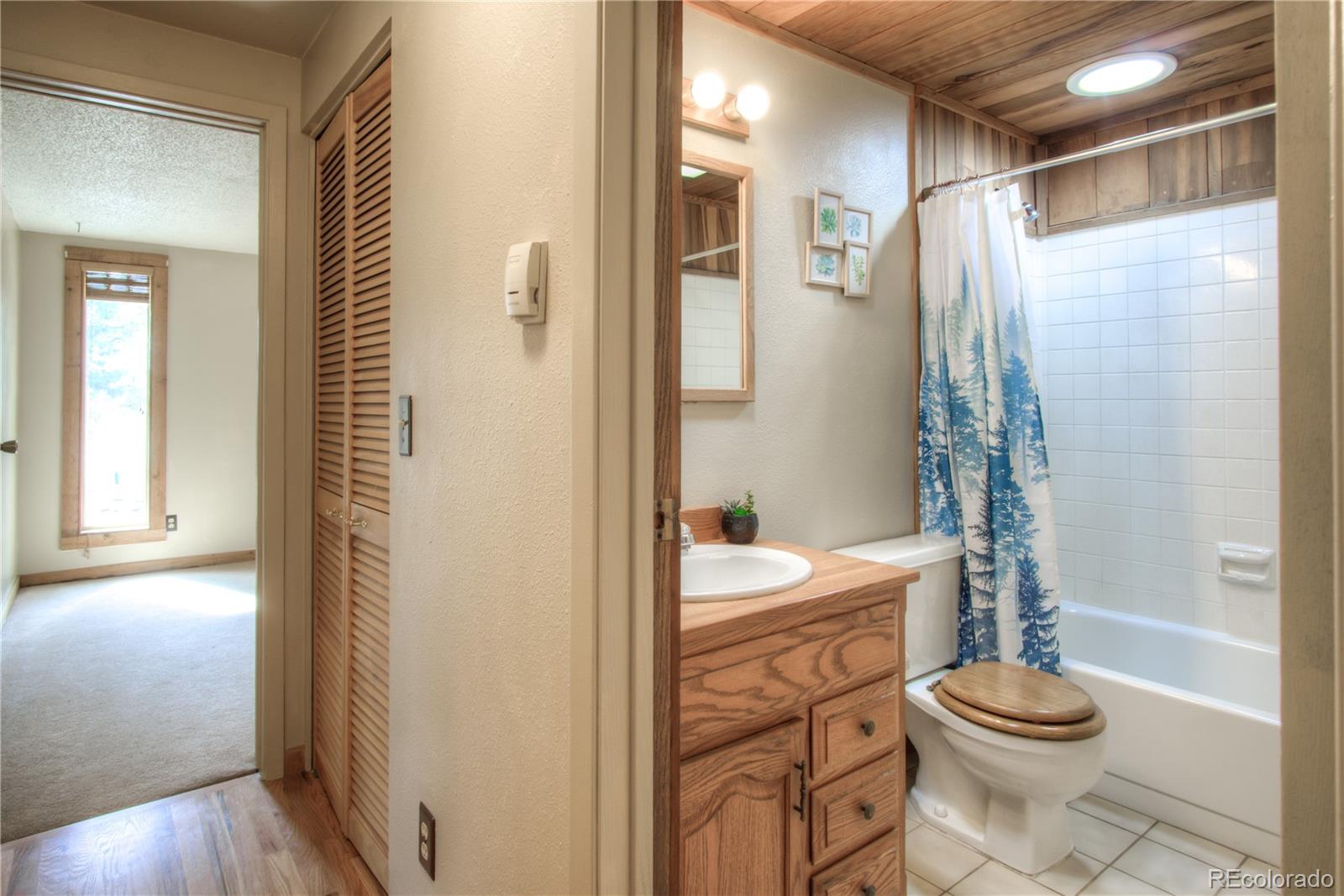 MLS Image #17 for 253  raven drive,bailey, Colorado