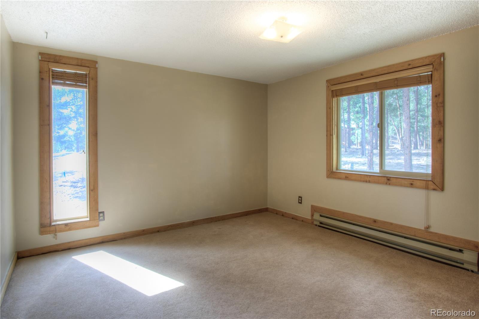 MLS Image #18 for 253  raven drive,bailey, Colorado
