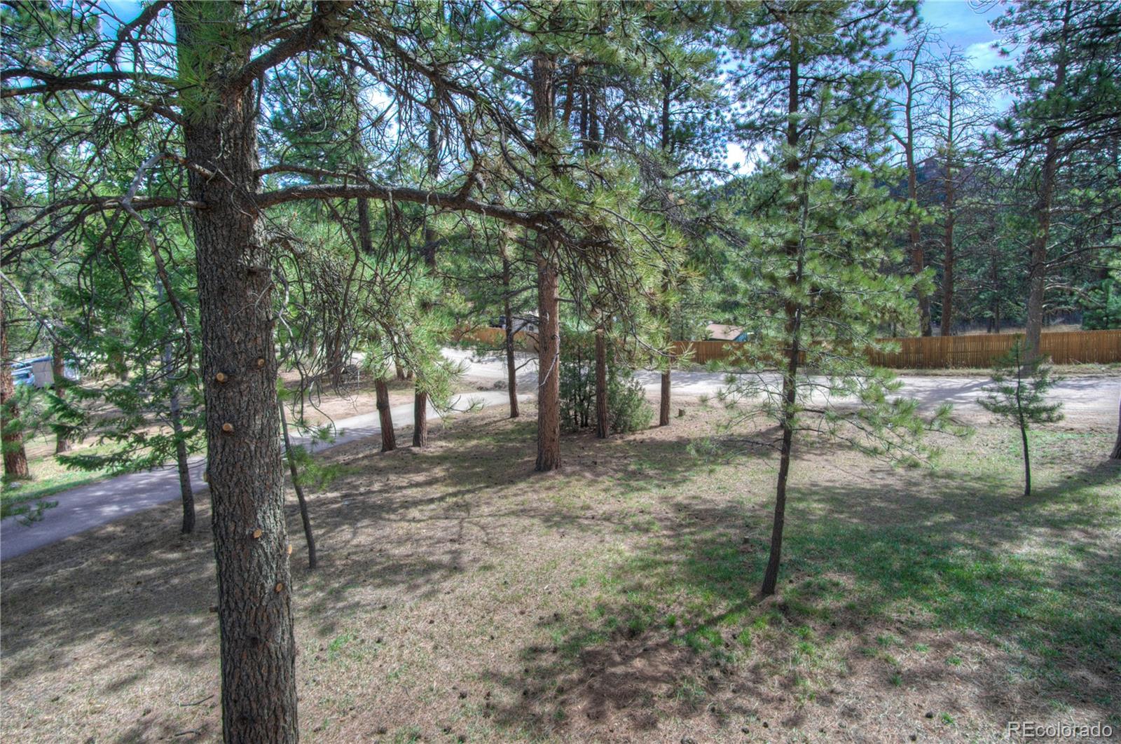 MLS Image #34 for 253  raven drive,bailey, Colorado