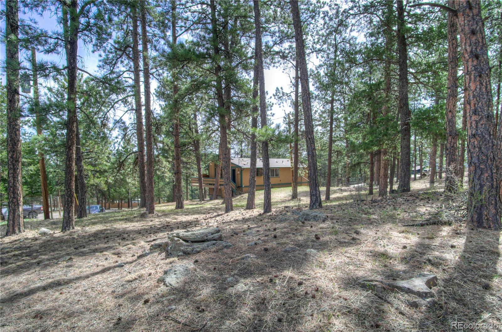 MLS Image #37 for 253  raven drive,bailey, Colorado