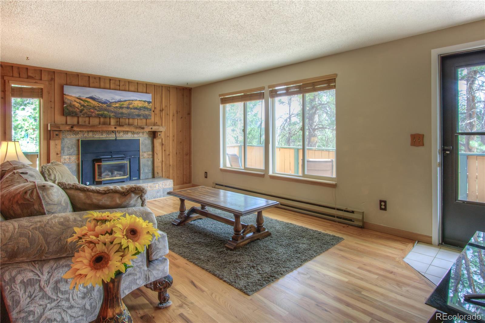 MLS Image #4 for 253  raven drive,bailey, Colorado