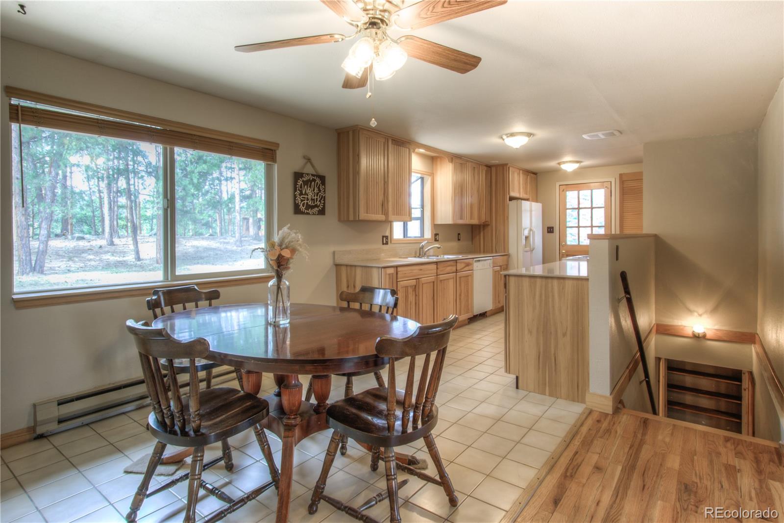 MLS Image #5 for 253  raven drive,bailey, Colorado