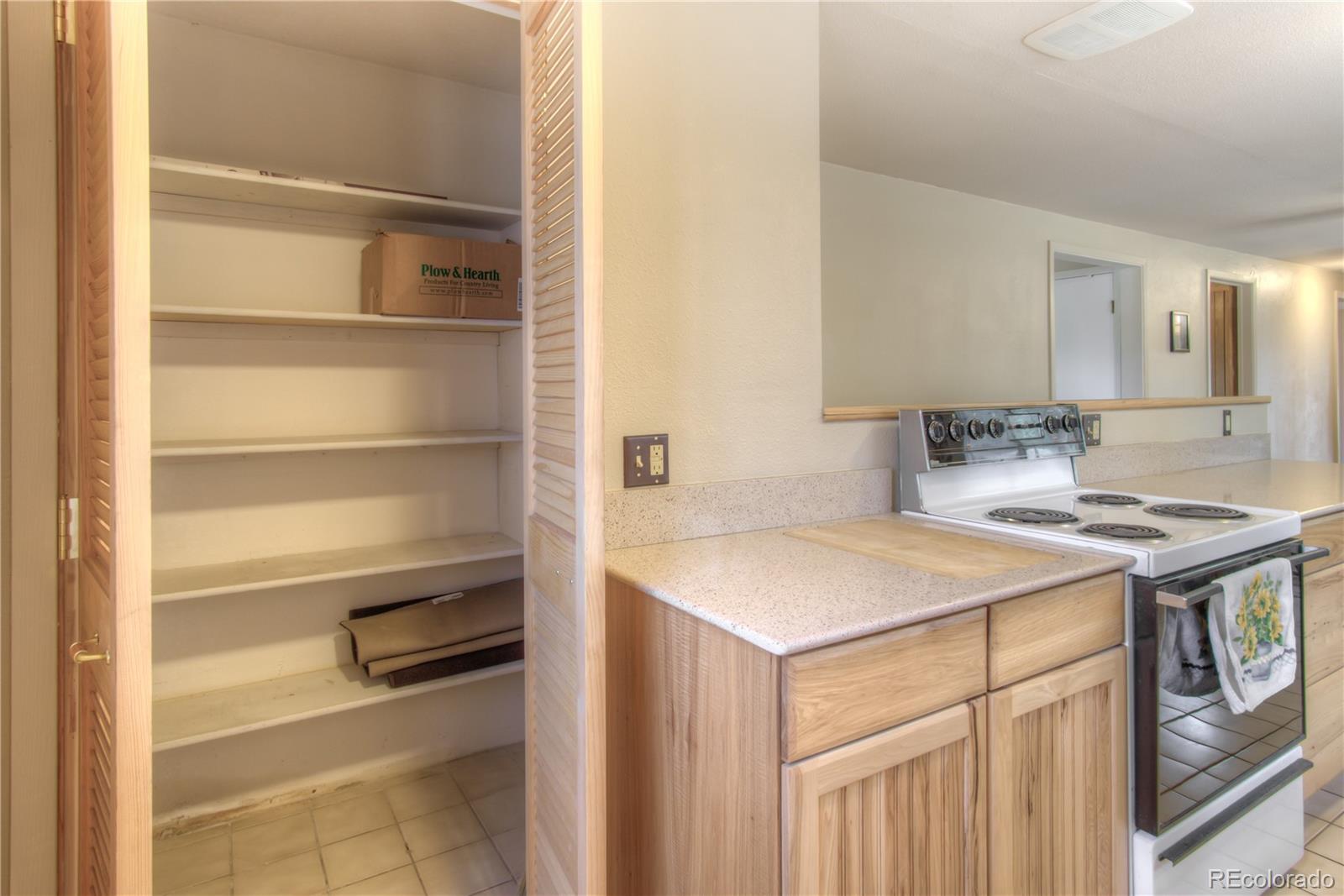 MLS Image #9 for 253  raven drive,bailey, Colorado