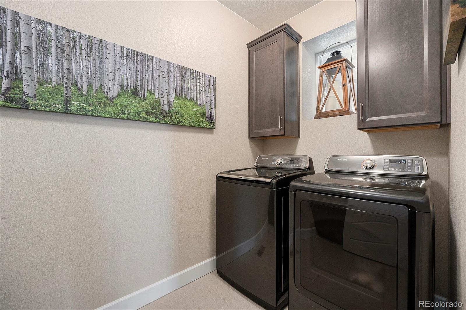 MLS Image #15 for 11168  sweet cicely drive,parker, Colorado
