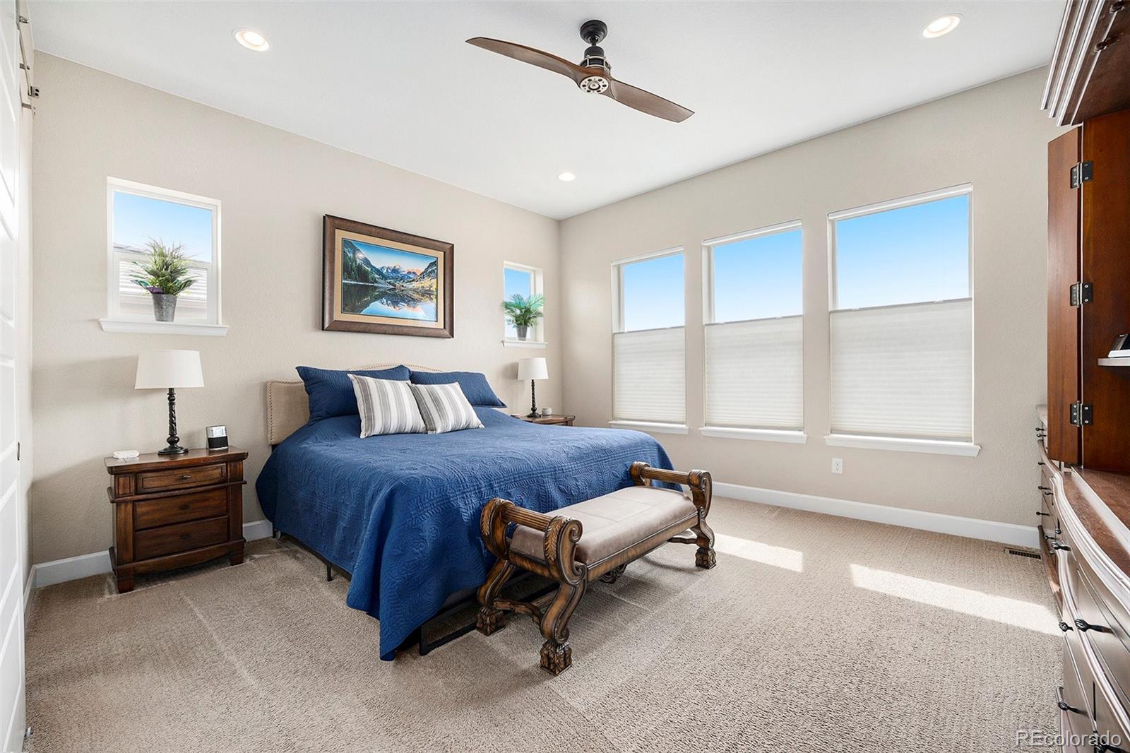 MLS Image #17 for 11168  sweet cicely drive,parker, Colorado