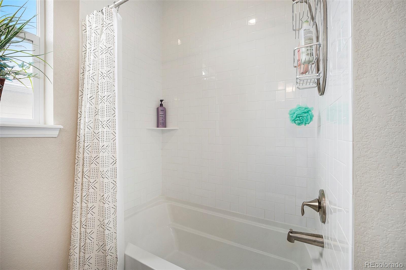 MLS Image #22 for 11168  sweet cicely drive,parker, Colorado