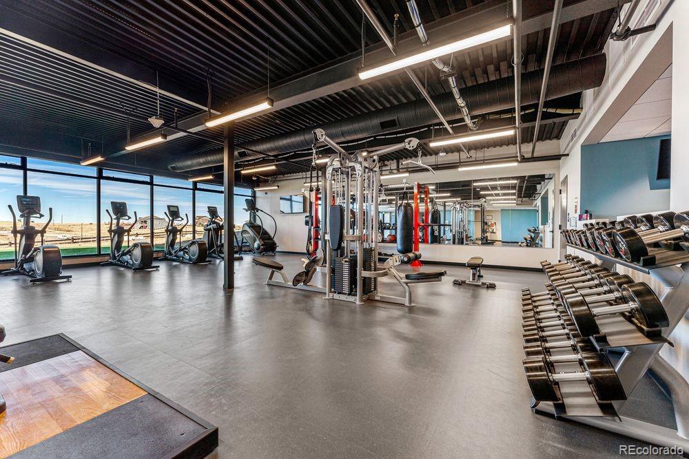 MLS Image #26 for 3867  freestone point,castle rock, Colorado