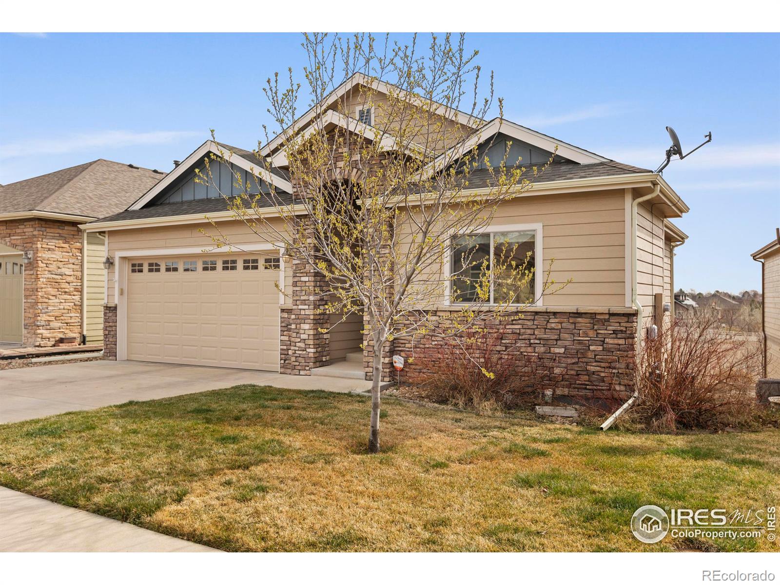 MLS Image #2 for 1319  crabapple drive,loveland, Colorado