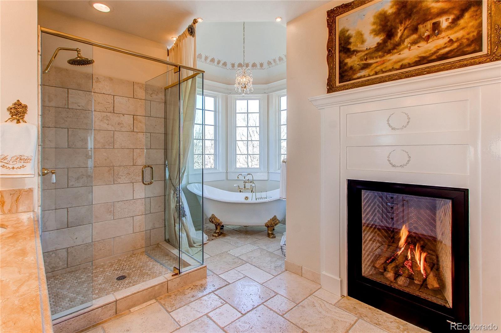 MLS Image #20 for 1135  founders circle,windsor, Colorado