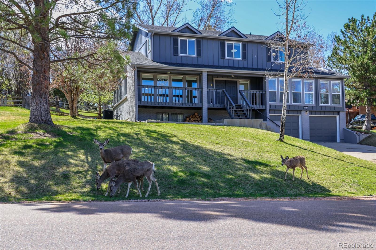 MLS Image #1 for 8446  lightening view drive,parker, Colorado