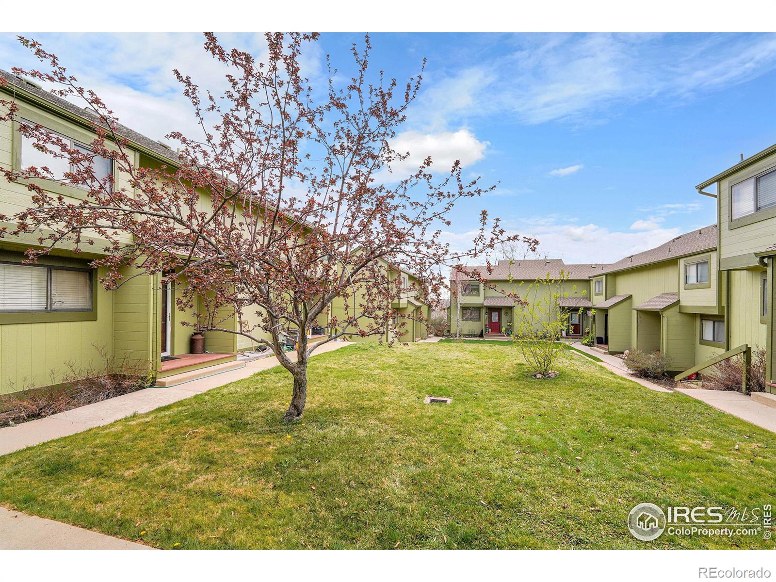 MLS Image #20 for 3264  cripple creek trail,boulder, Colorado