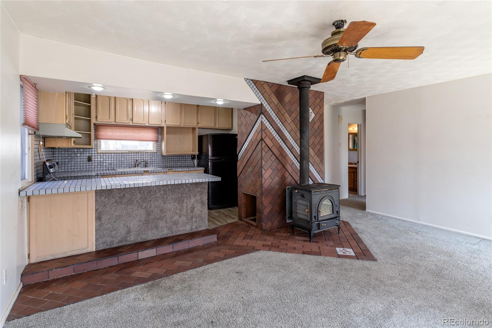 MLS Image #7 for 160  cragmore street,denver, Colorado