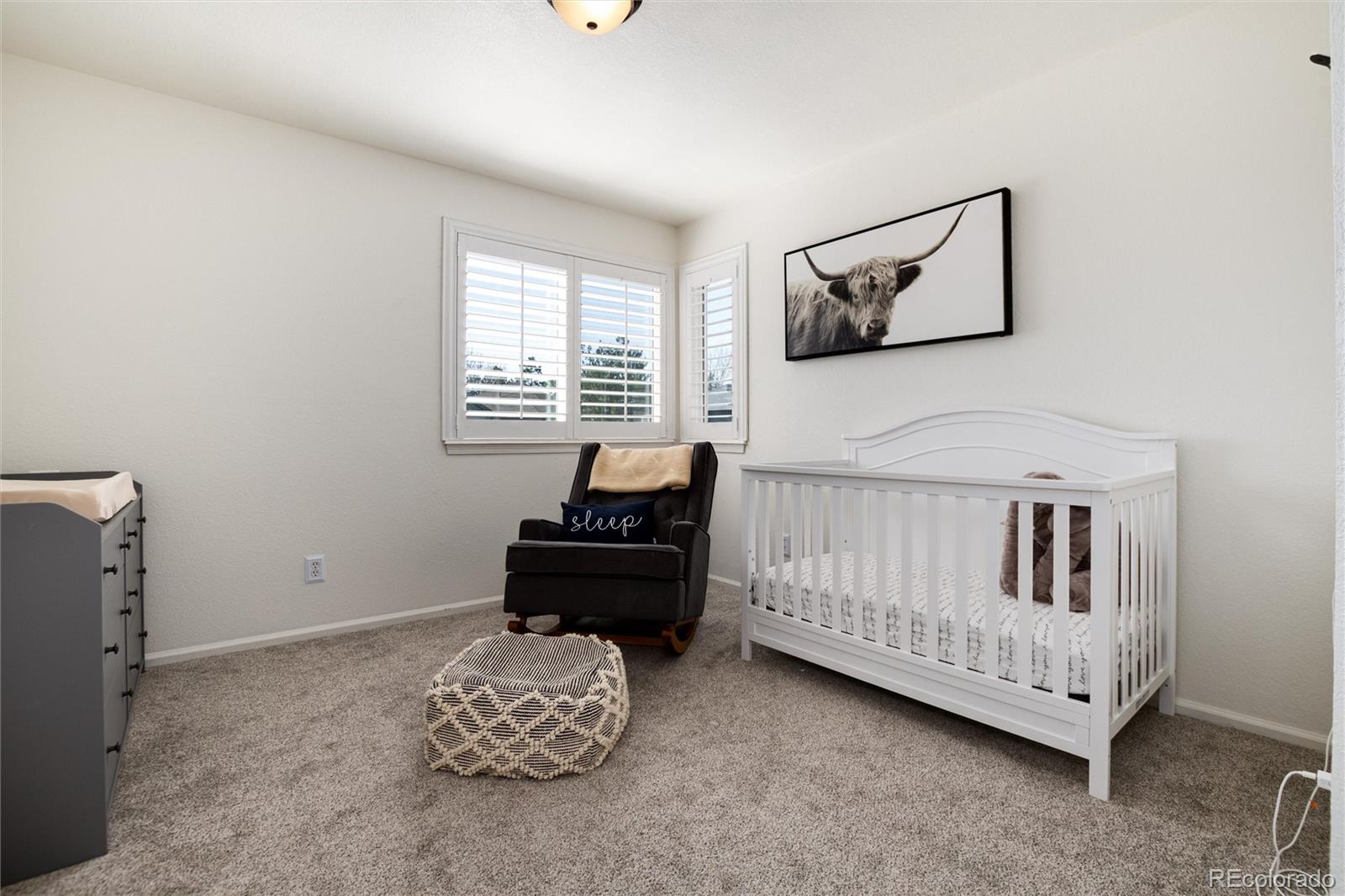 MLS Image #30 for 10028  chelmsford terrace,parker, Colorado