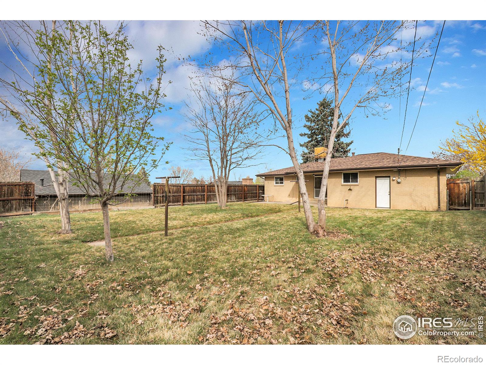 MLS Image #22 for 615 s shoshone street,denver, Colorado
