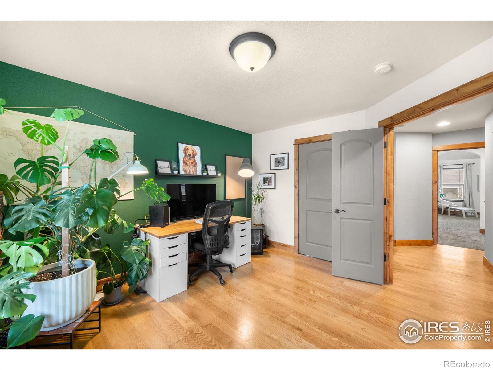 MLS Image #19 for 855  norway maple drive,loveland, Colorado