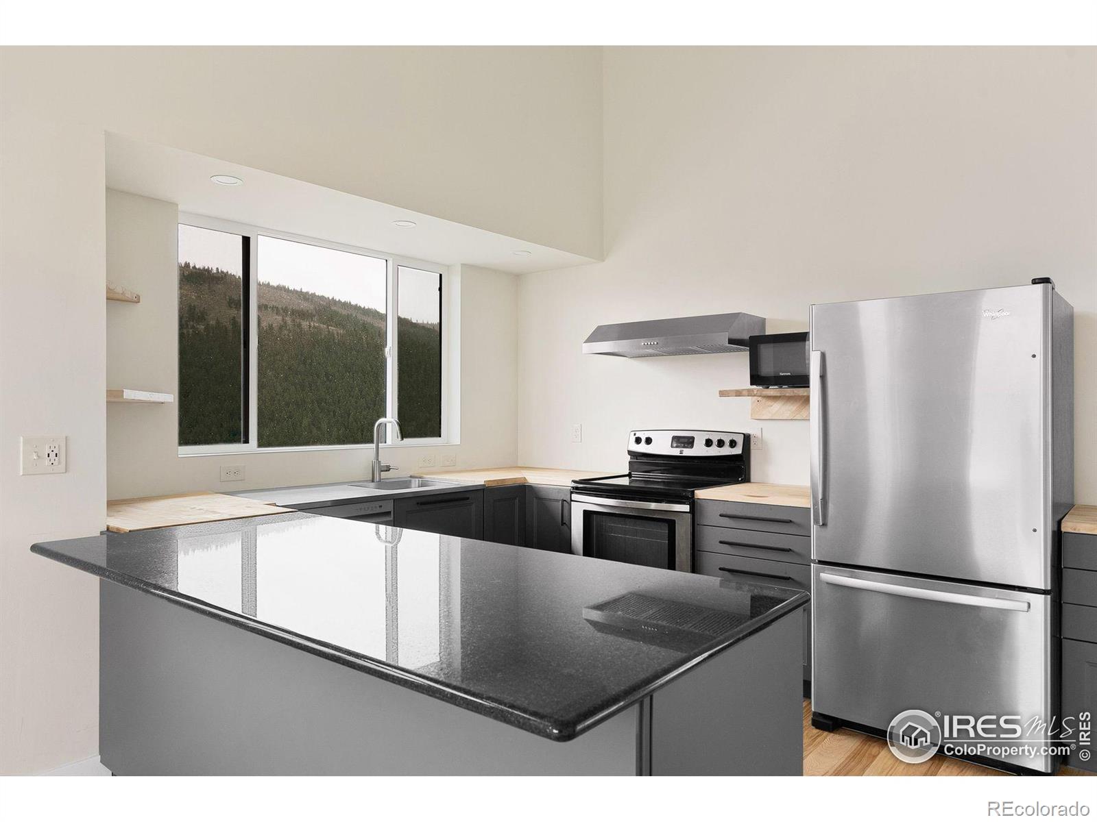 MLS Image #10 for 450  melvina hill road,boulder, Colorado