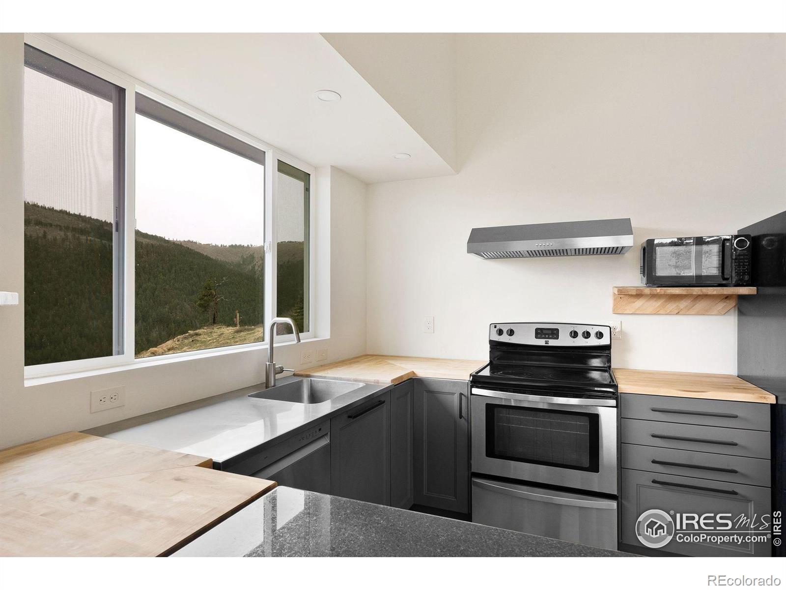 MLS Image #12 for 450  melvina hill road,boulder, Colorado