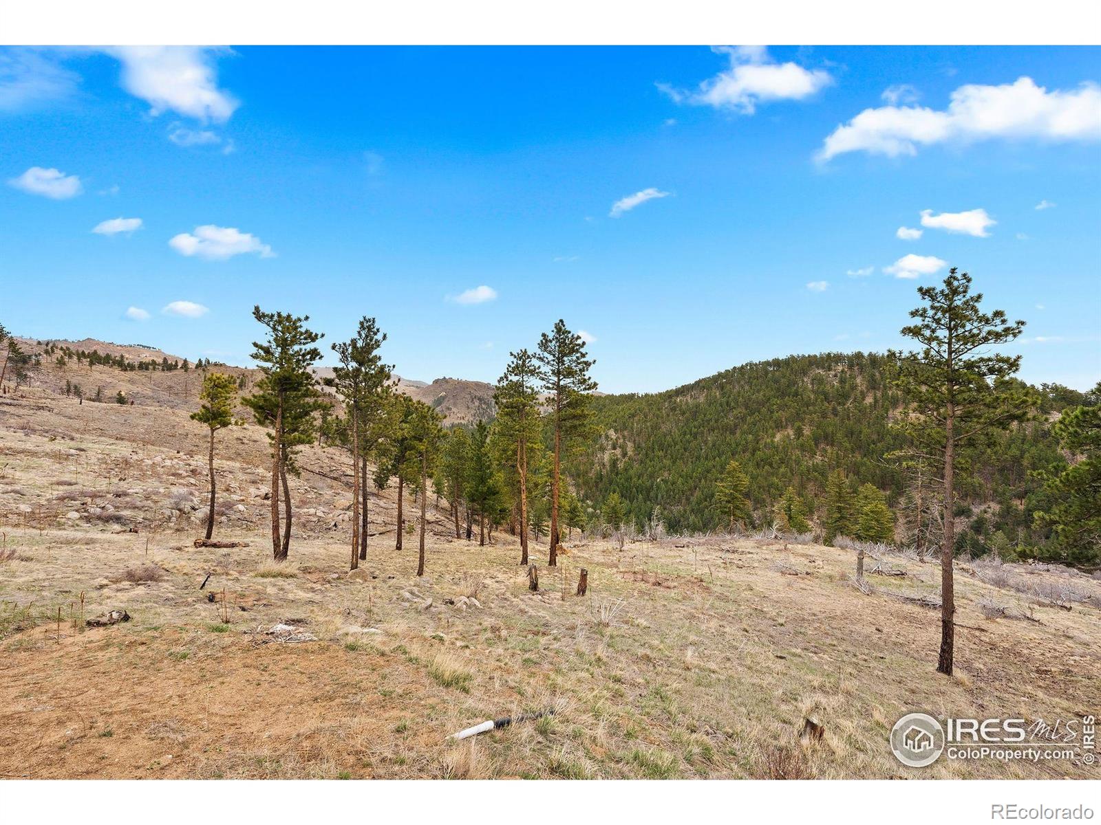 MLS Image #29 for 450  melvina hill road,boulder, Colorado