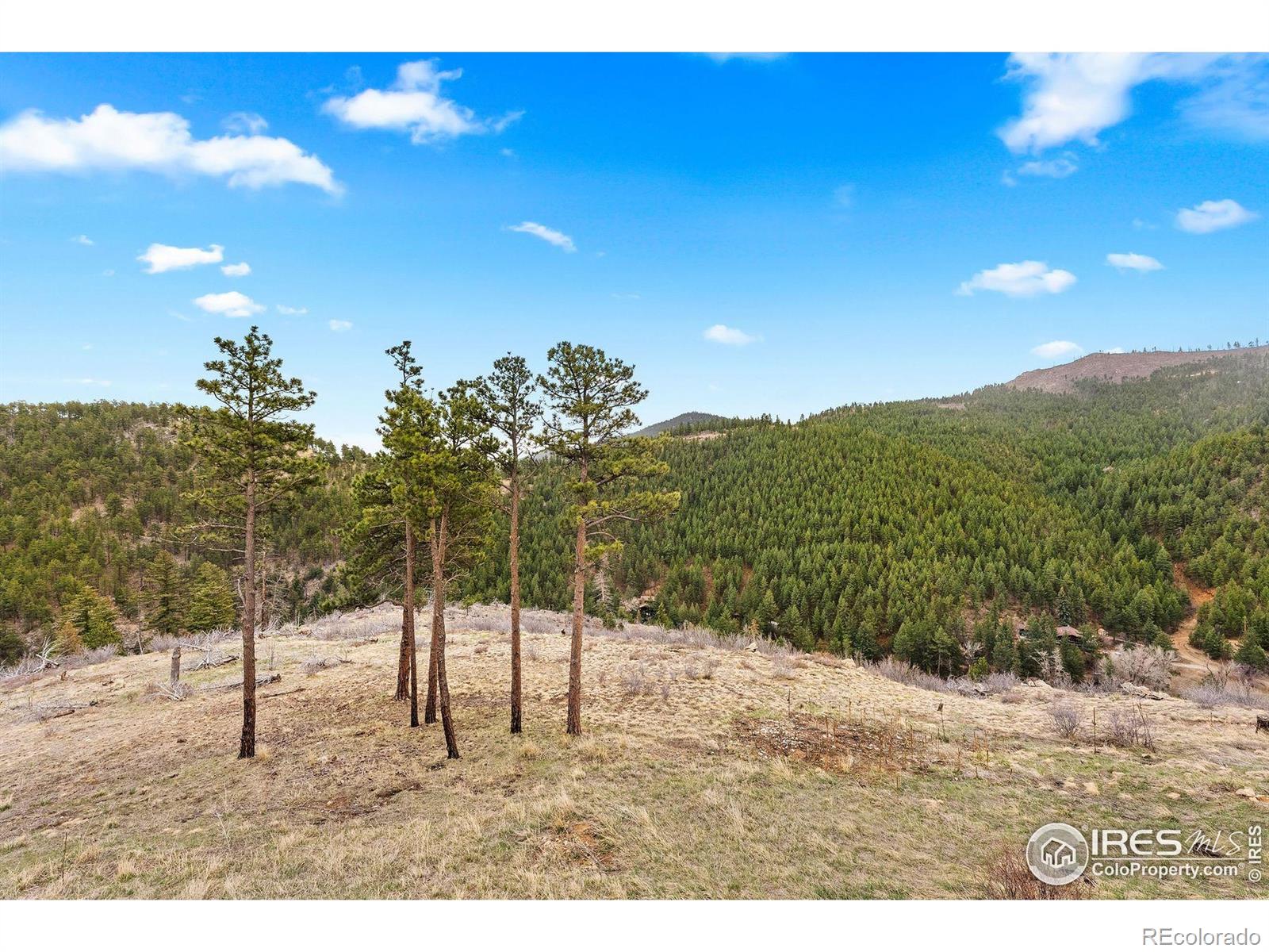 MLS Image #30 for 450  melvina hill road,boulder, Colorado