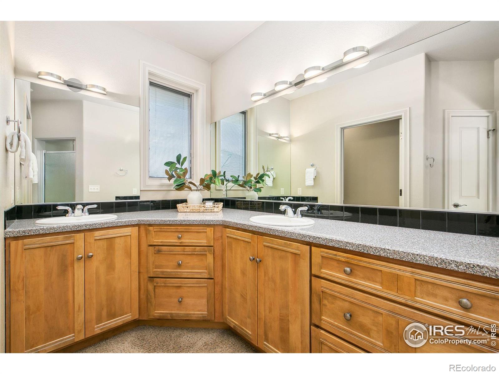 MLS Image #13 for 7424  vardon way,fort collins, Colorado