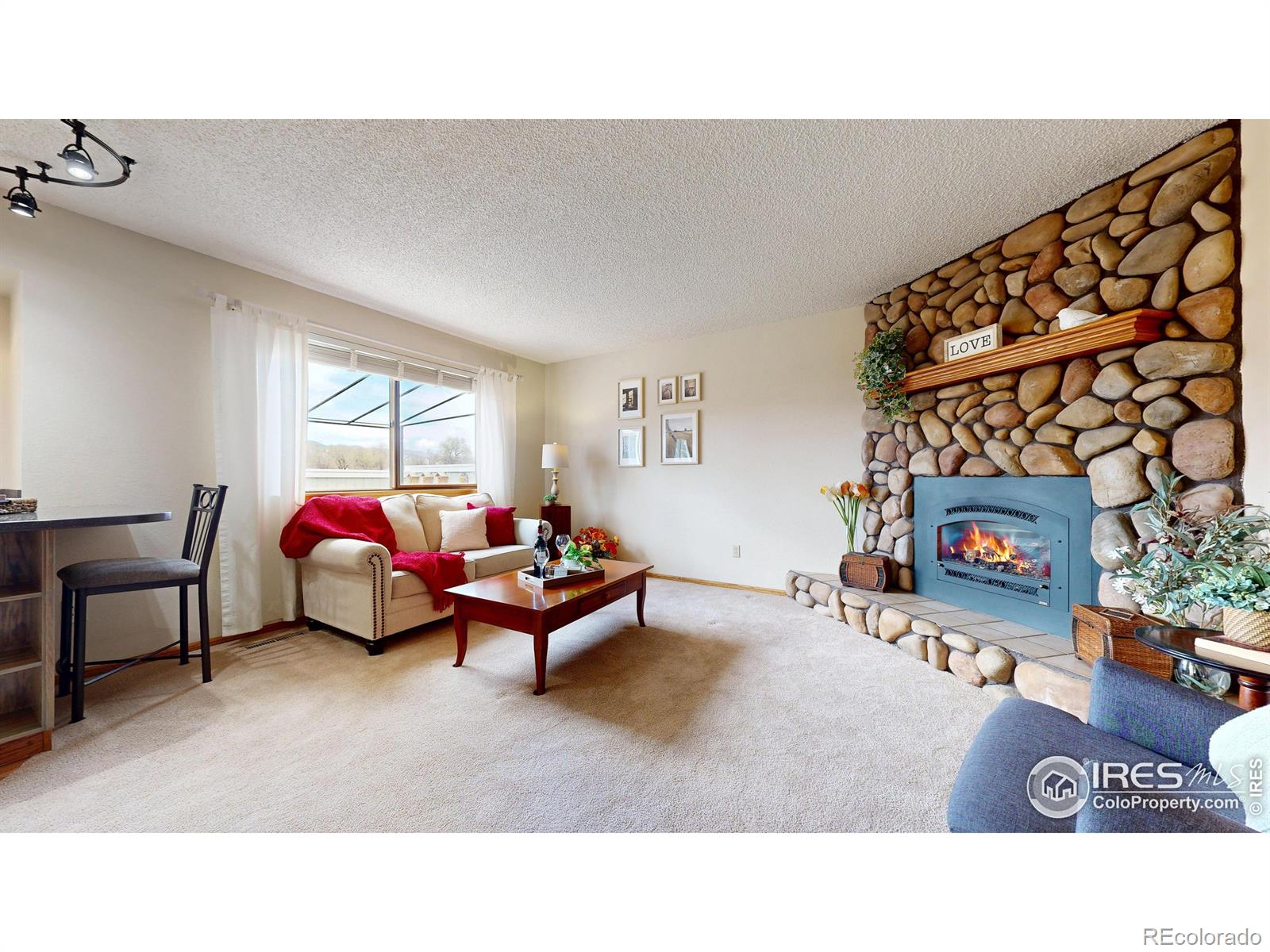 MLS Image #17 for 2921  bassick street,fort collins, Colorado