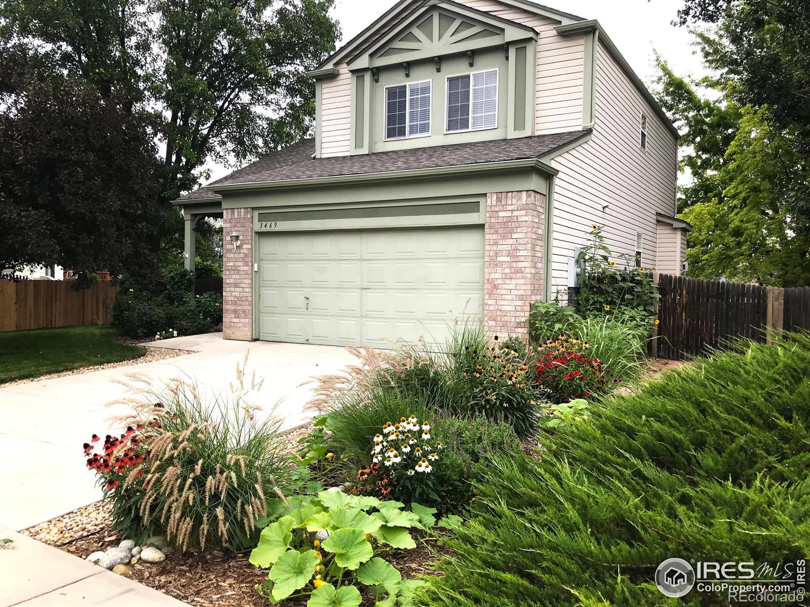 CMA Image for 3469  larkspur drive,Longmont, Colorado