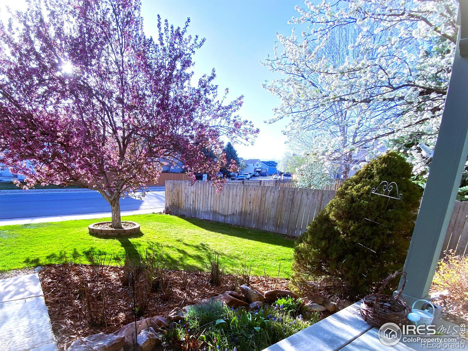 MLS Image #5 for 3469  larkspur drive,longmont, Colorado