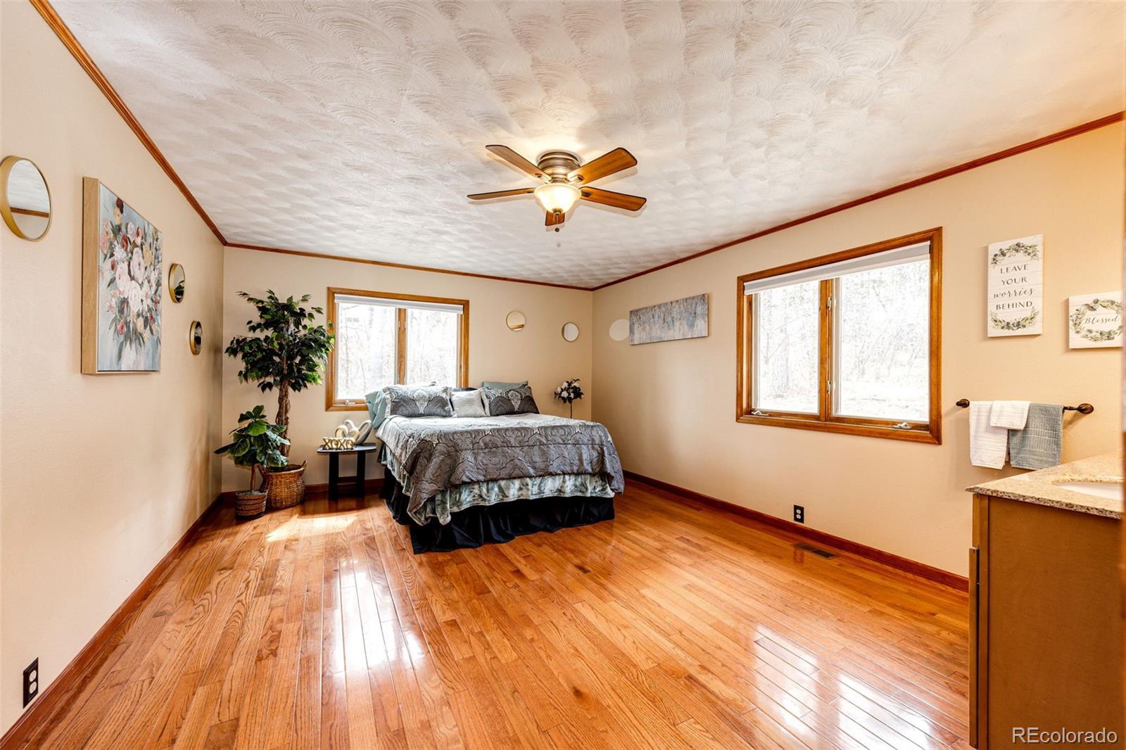 MLS Image #15 for 530  windmill road,castle rock, Colorado